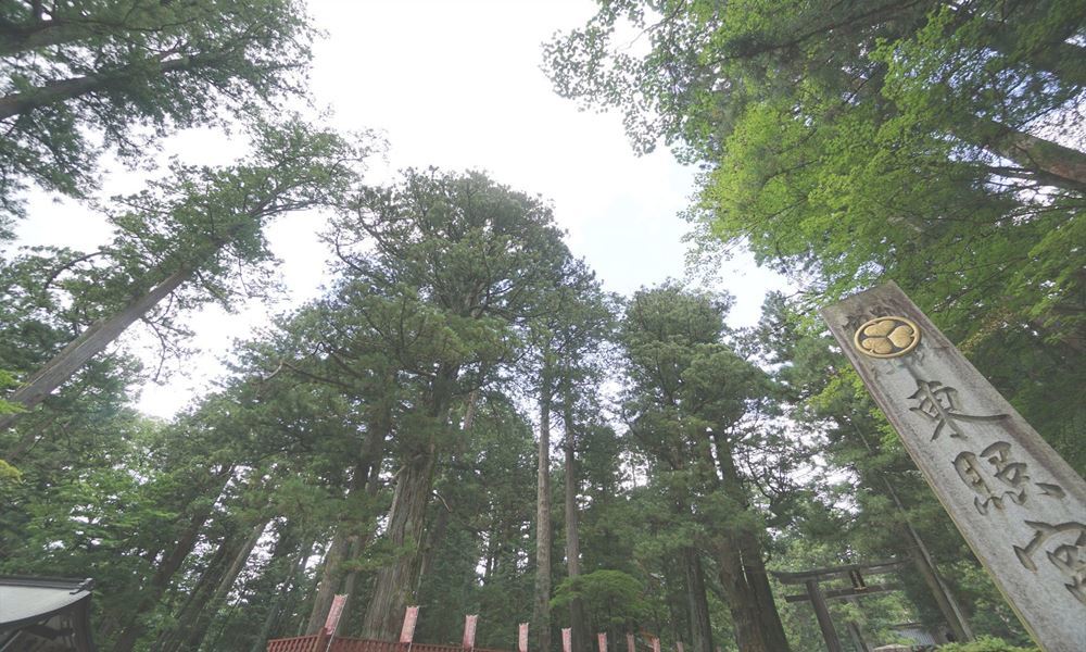 日光東照宮