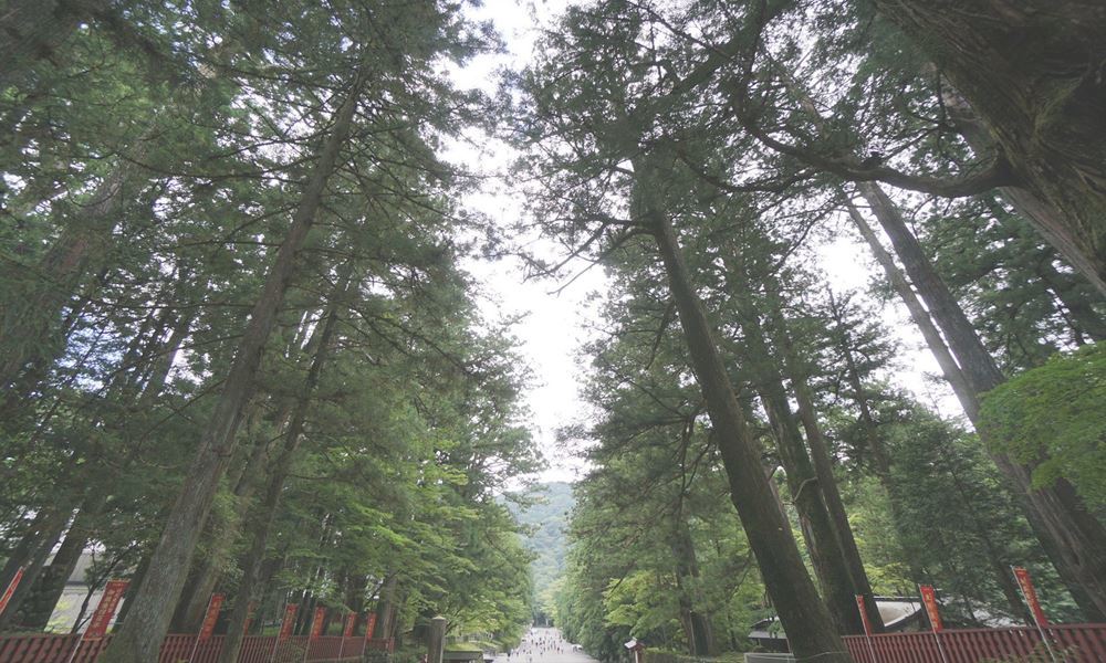 ホテルザセントレ宇都宮 観光地案内 日光東照宮