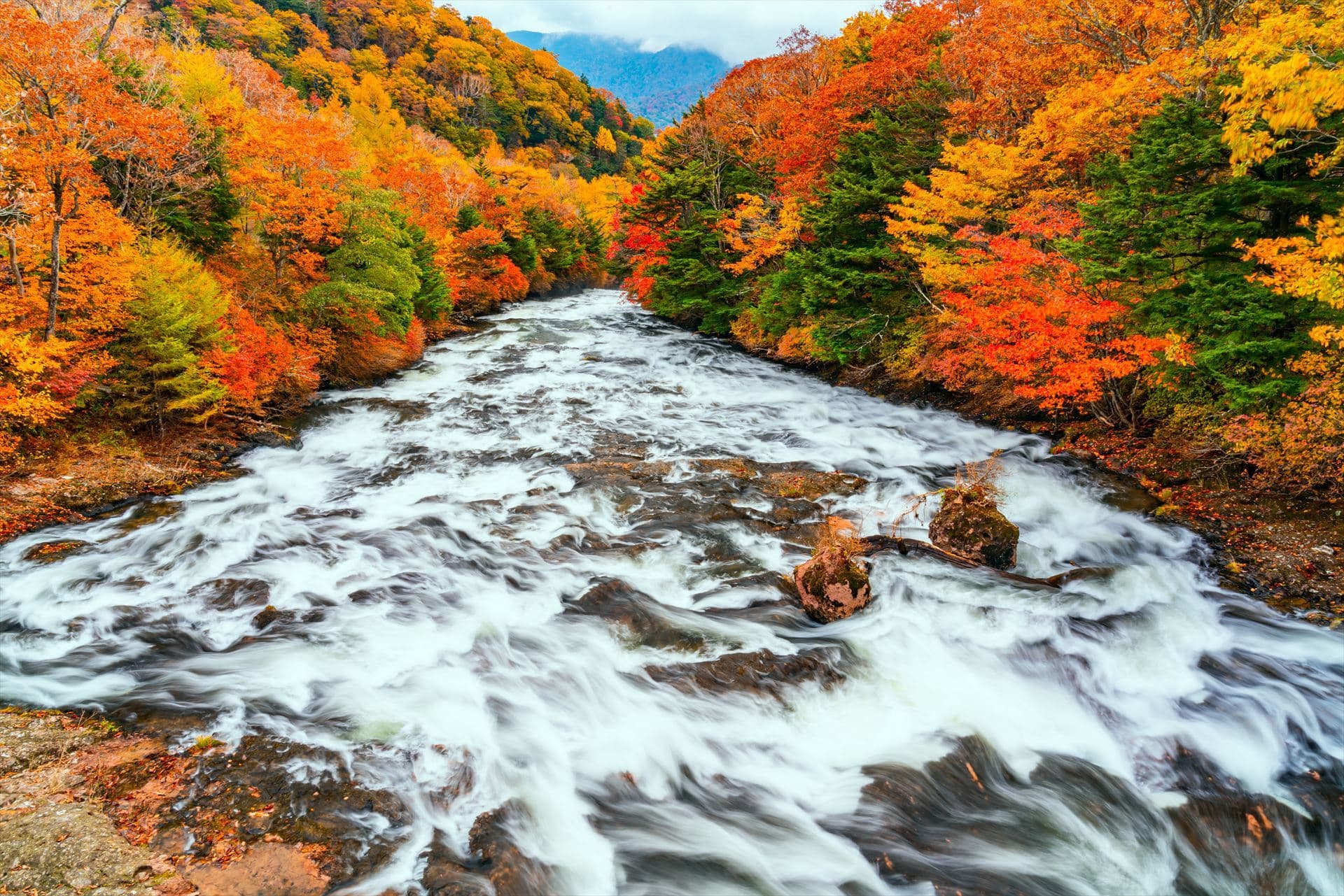 shutterstock_1590930880_r.jpg